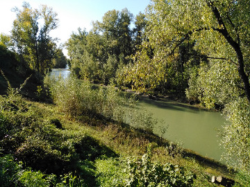 Место у протоки реки Катуни, где раньше был мост, 2020 г. фото Нечаевой Л.В.