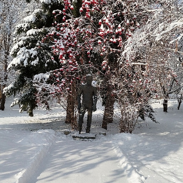 Первый зимний день в Сростках. Коллекция фотографий из архива музея-заповедника В.М. Шукшина